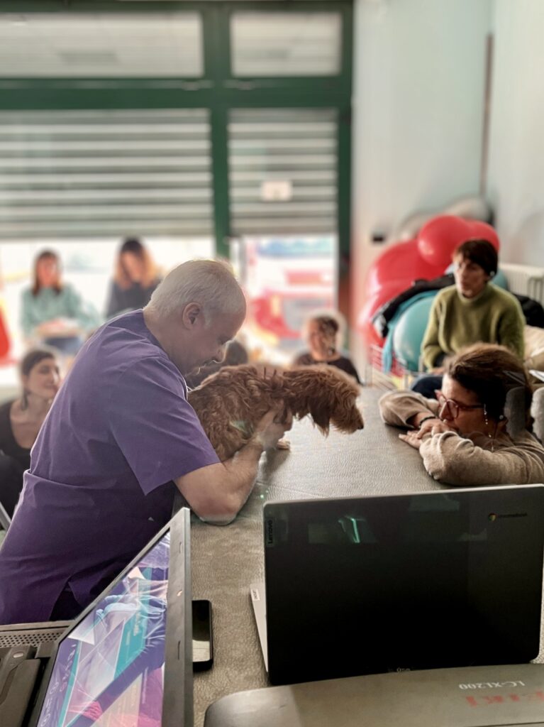 Interpretación simultánea Formación sobre terapia neural veterinaria