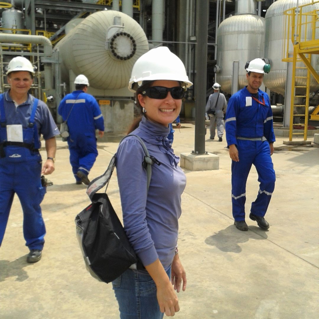 Interpretazione tecnica petrolchimica